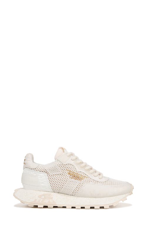 Shop Circus Ny By Sam Edelman Devyn Sneaker In White/cream