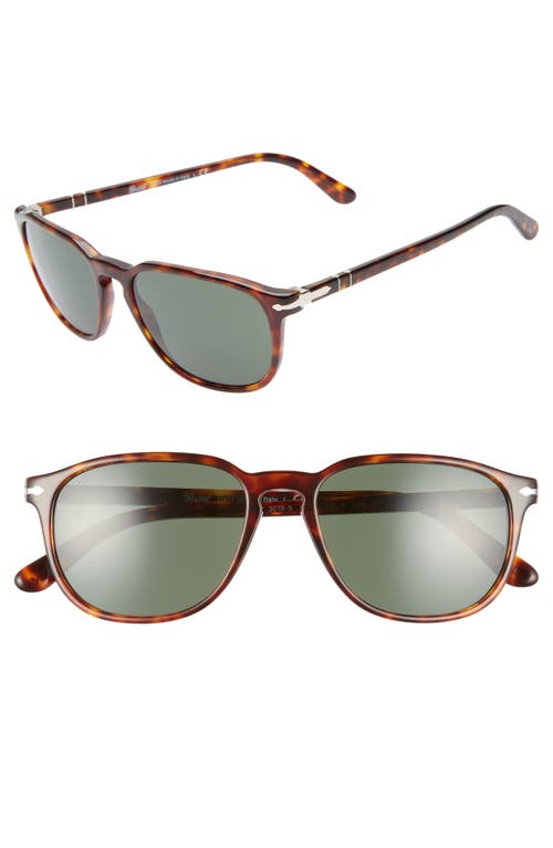 Persol 55mm Square Sunglasses In Brown