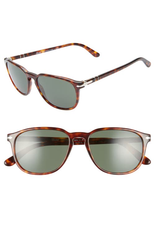 Shop Persol 55mm Square Sunglasses In Havana/green Solid