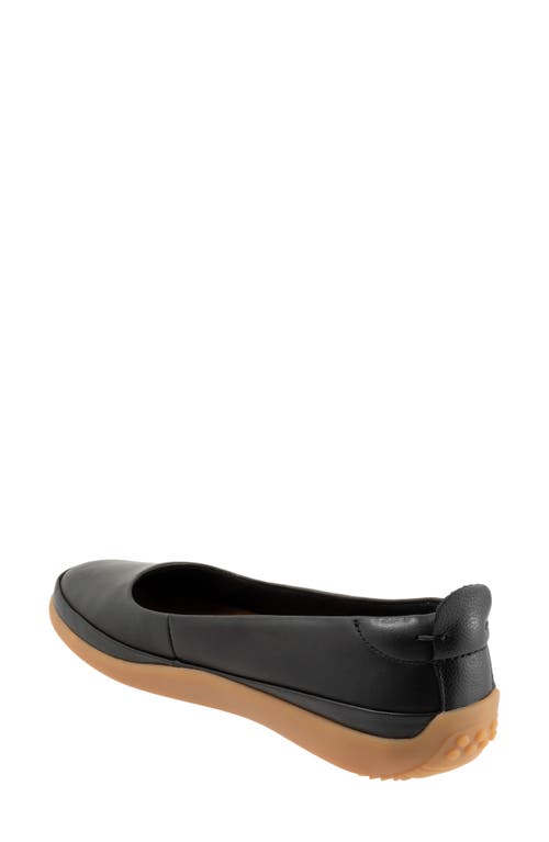 Softwalk ® Disa Flat In Black