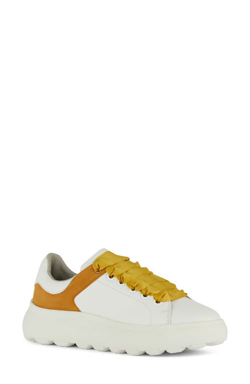 Geox Spherica Sneaker In White/cognac