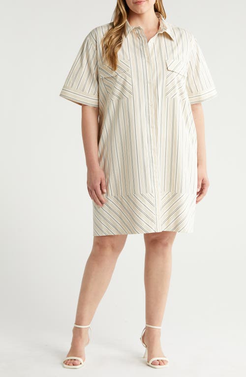 Nordstrom Stripe A-Line Shirtdess Beige- Olive Leon at Nordstrom,