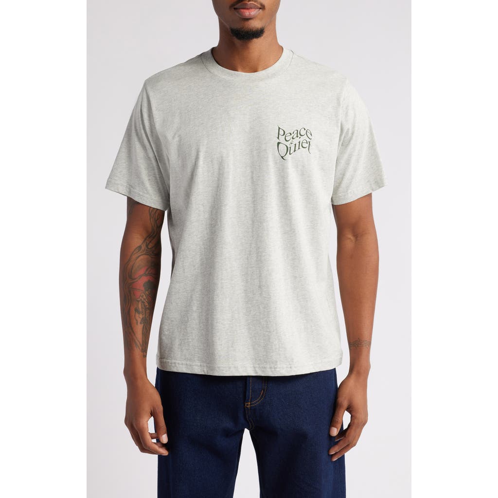 Museum of Peace & Quiet Warped Logo Graphic T-Shirt in Heather
