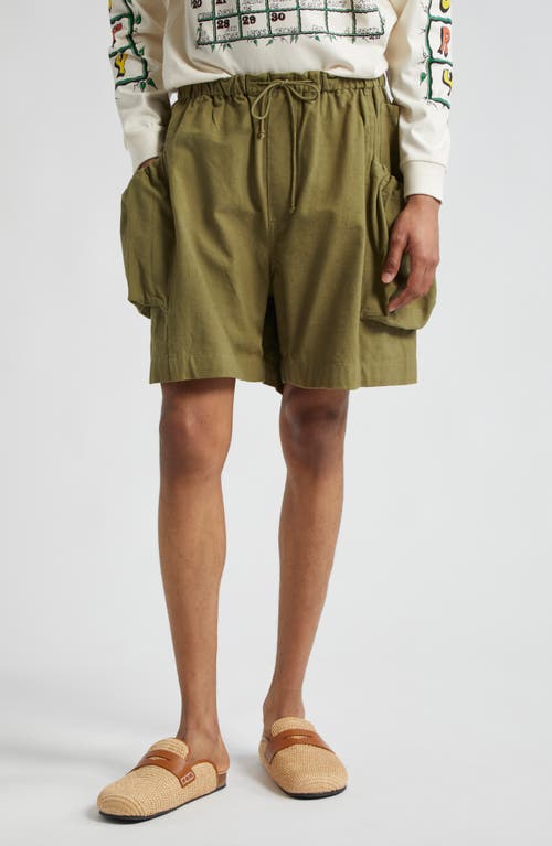 Story mfg. Salt Organic Cotton Shorts Olive Slub at Nordstrom,