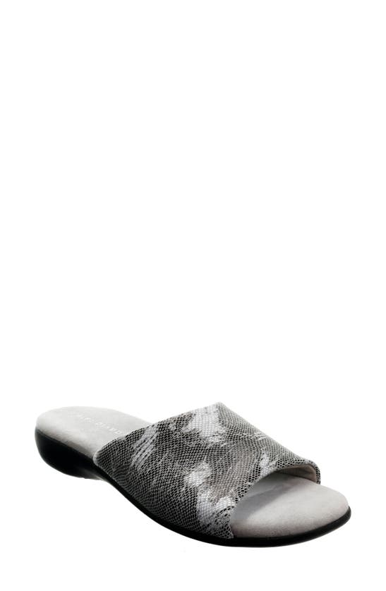 David Tate Fran Slipper In Grey