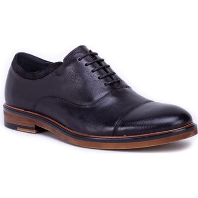 Zanzara Hans Cap Toe Oxford, Black