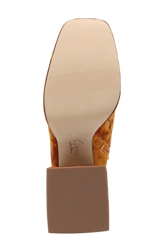 Circus Ny Kia Block Heel Bootie In Orange