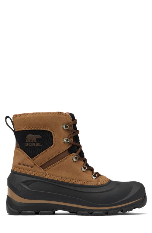 Shop Sorel Buxton Waterproof Snow Boot In Delta/black