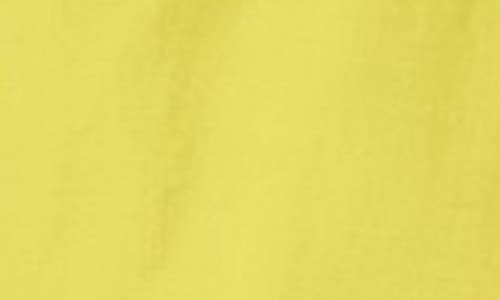 Eileen Fisher Lightweight Snap-front Hooded Anorak In Citron