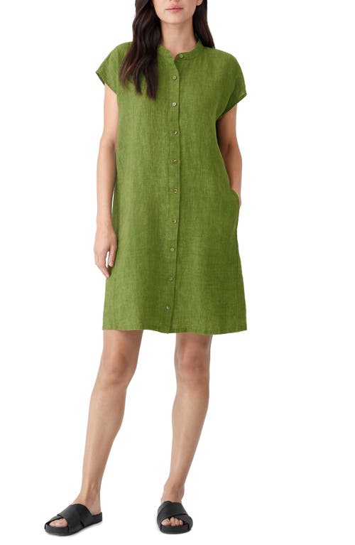 Eileen Fisher Mandarin Collar Cap Sleeve Organic Linen Shirtdress in Field