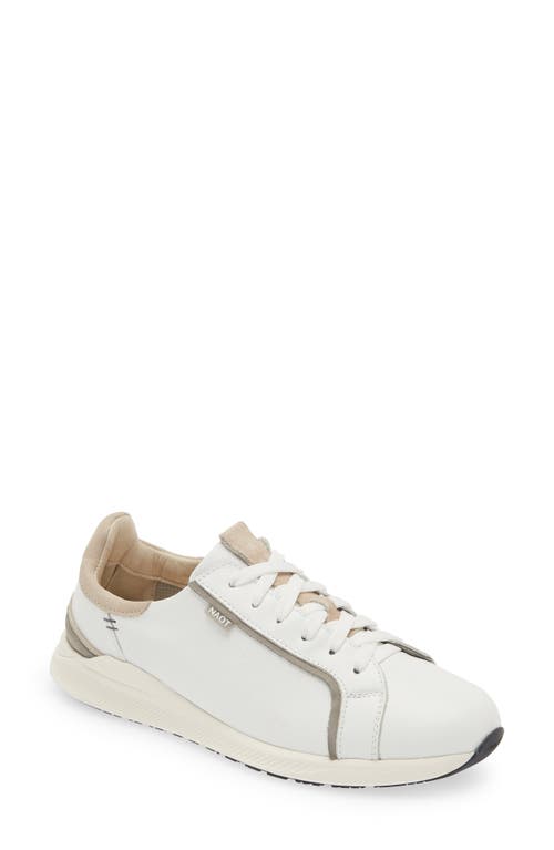Naot Admiral Sneaker In White/grey/stone
