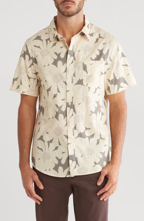 Shop Original Paperbacks Tropical Floral Print Short Sleeve Shirt In Cream/tan