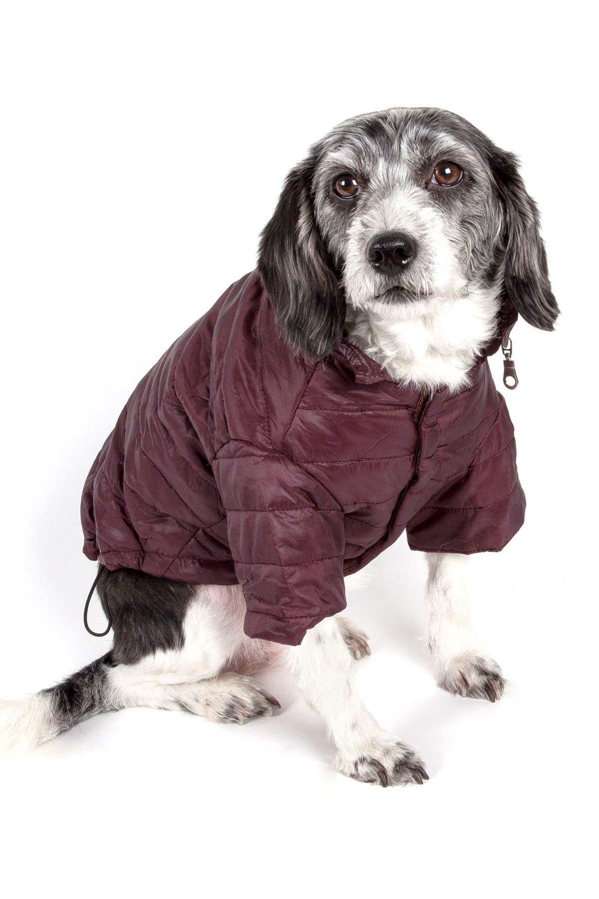 Petkit Large Brown Sporty Avalanche Dog Coat In Dark Brown
