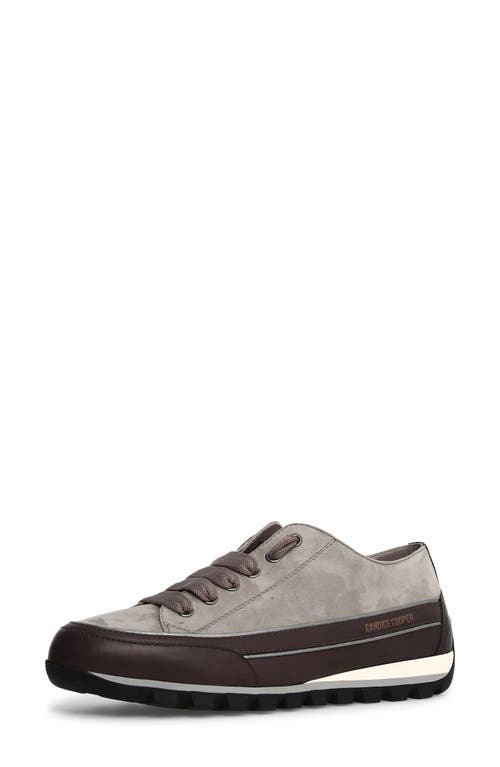 Shop Candice Cooper Janis Strip Sneaker In Anthracite Grey