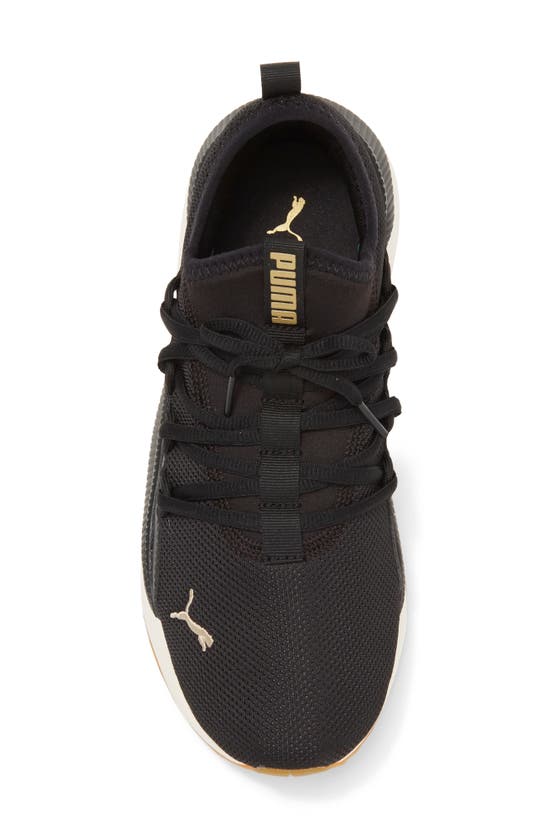 Shop Puma Pacer Future Web Knit Sneaker In  Black- Team Gold