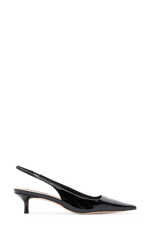 Shop Steve Madden Kari Pointed Toe Kitten Heel Slingback Pump In Black Patent