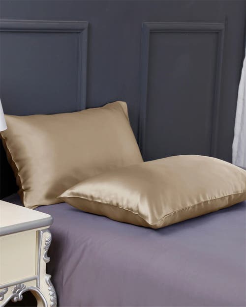 Shop Lilysilk 100% Silk Terse Envelope Pillowcase In Taupe