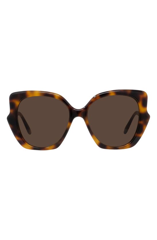Loewe Thin 55mm Geometric Sunglasses In Dark Havana / Brown