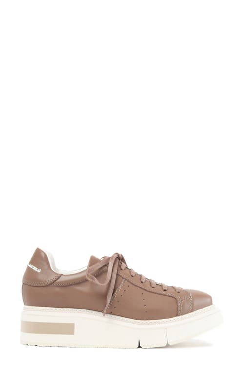 Shop Paloma Barceló Paloma Barcelo Agen Sneaker In Dark Beige/taupe