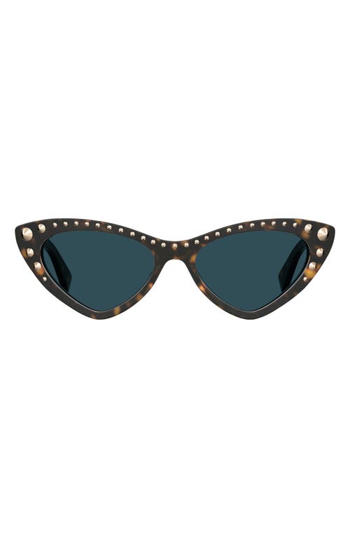 Shop Moschino 53mm Cat Eye Sunglasses In Havana/blue Shaded