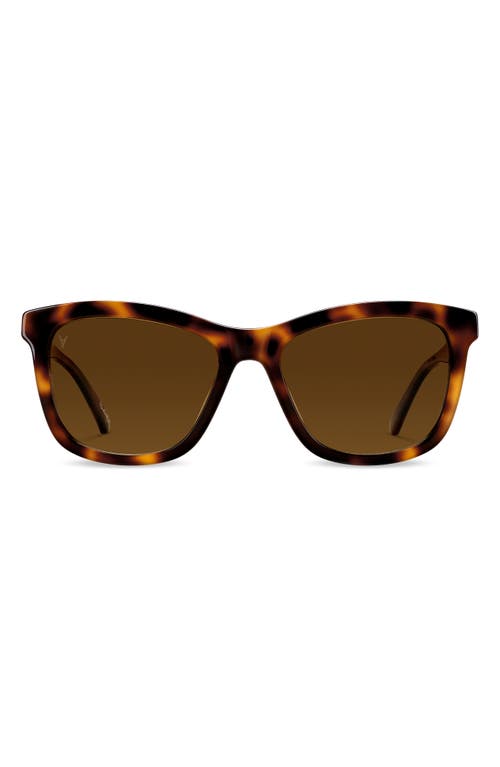 Emery 56mm Polarized Round Sunglasses in Rye Tortoise Brown