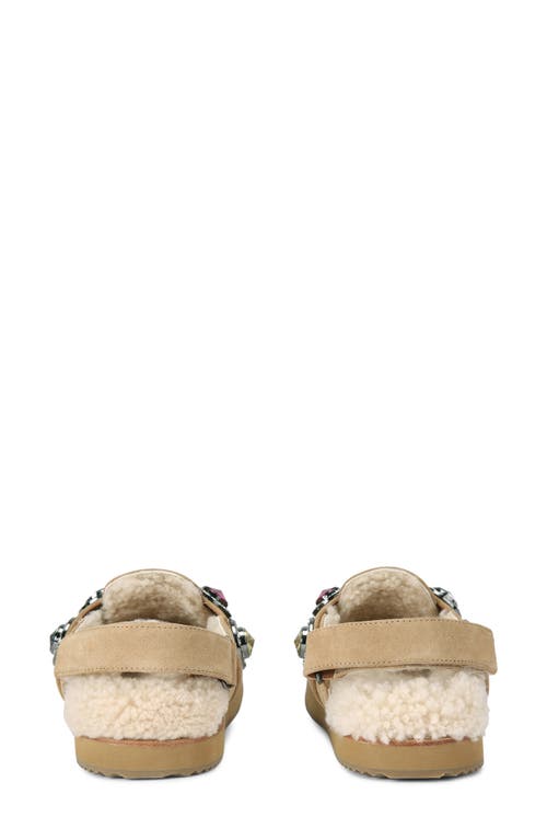 Shop Kurt Geiger London Octavia Genuine Shearling Lined Clog In Dark Beige