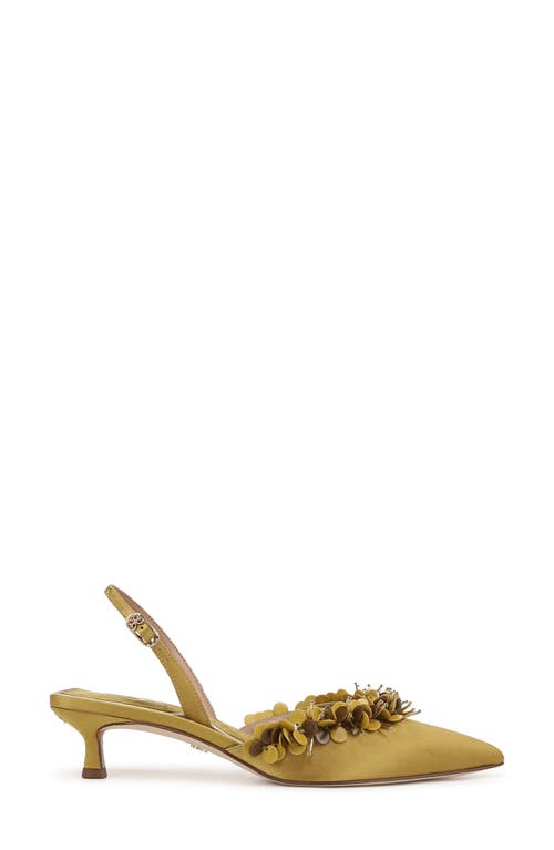 Shop Sam Edelman Trent Slingback Pointed Toe Kitten Heel Pump In Dark Pear