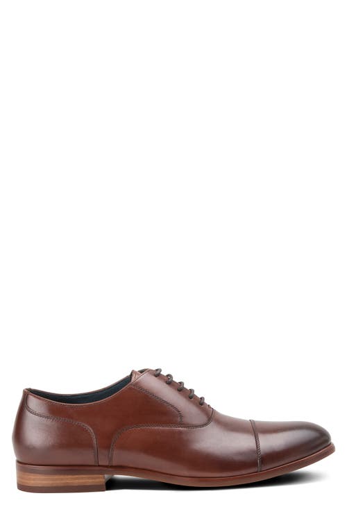 Shop Blake Mckay Melvern Cap Toe Oxford In Chestnut Leather