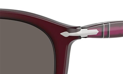 Persol 52mm Polarized Pillow Sunglasses In Burgundy