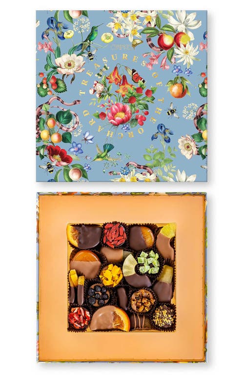 COMPARTES Treasures of the Orchard Gourmet Chocolate Covered Fruit Gift Box in Multi