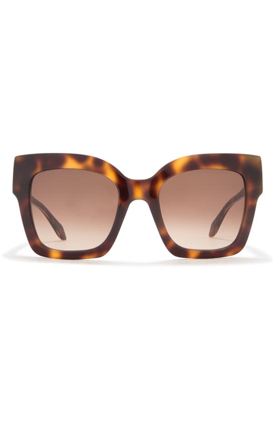 Just Cavalli 52mm Oversize Square Sunglasses In Brown