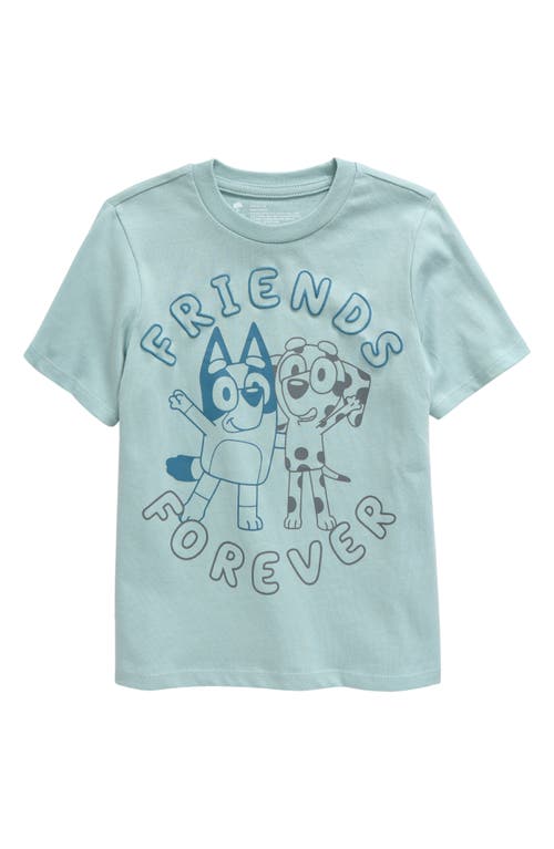 Shop Tucker + Tate Kids' Cotton Graphic T-shirt In Blue Raindrop Friends Forever