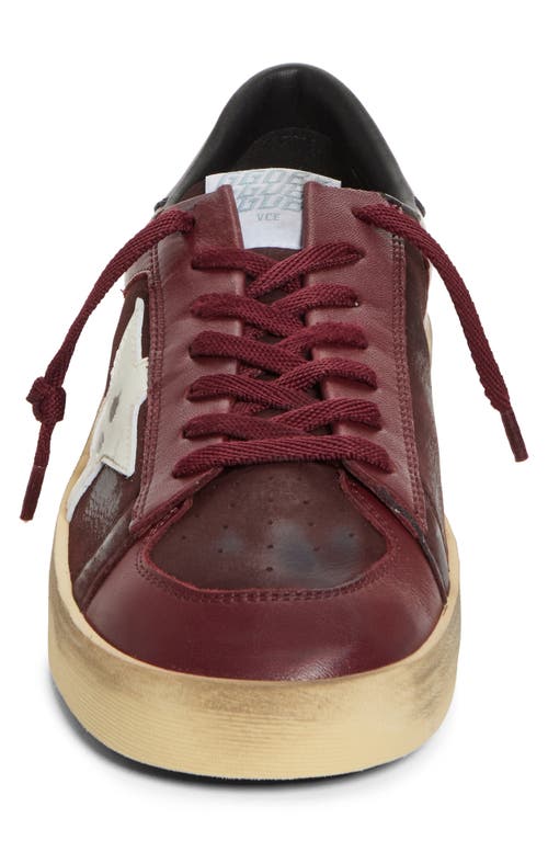 Golden Goose Stardan Sneaker In Brown/white/black