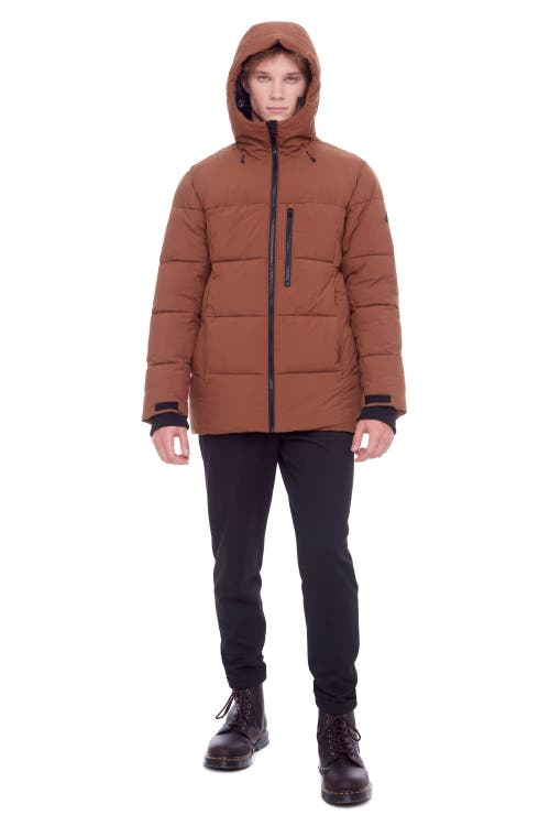 Alpine North Men's In Maple