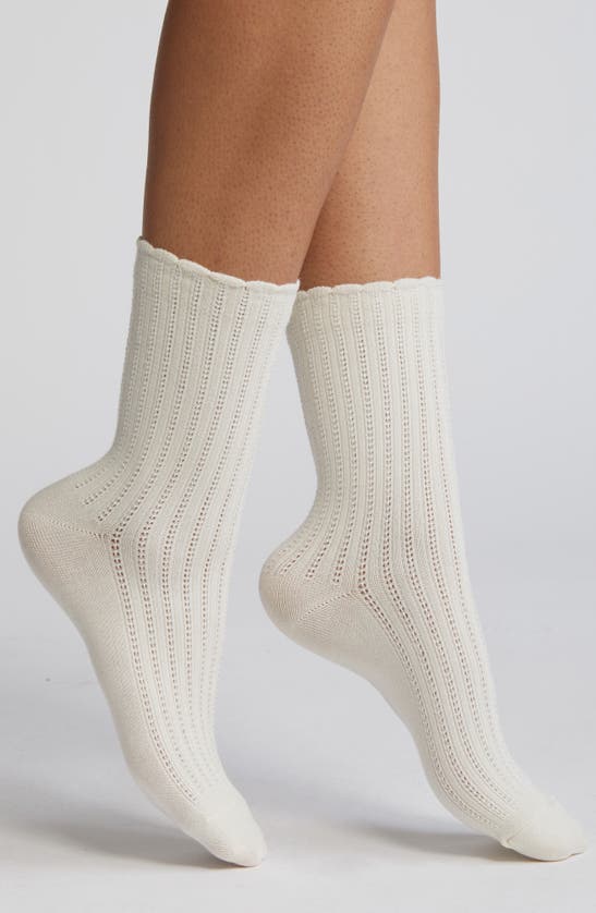 Shop Nordstrom Pointelle Scalloped Edge Crew Socks In White