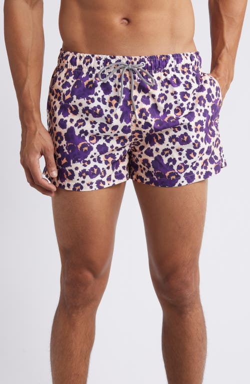 Cheetah Shortie Swim Trunks in Purple Multi