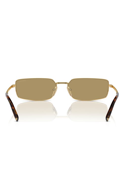 Prada 59mm Rectangular Sunglasses In Gold/olive
