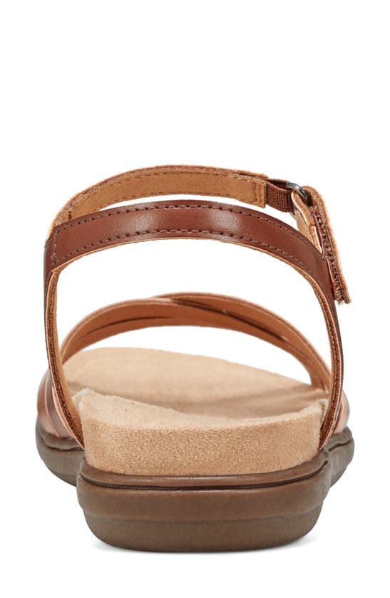 Shop Easy Spirit Dottle 3 Sandal In Brown