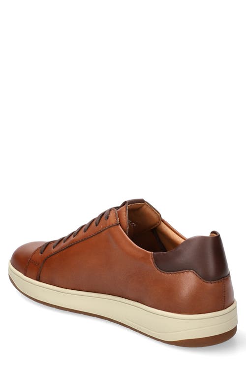 Mephisto Hasko Low Top Sneaker In Hazelnut
