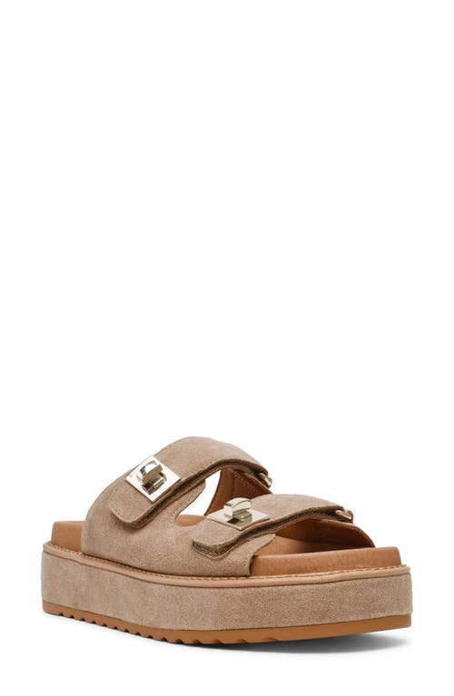 Steve Madden Bigschmona Platform Slide Sandal In Taupe Suede