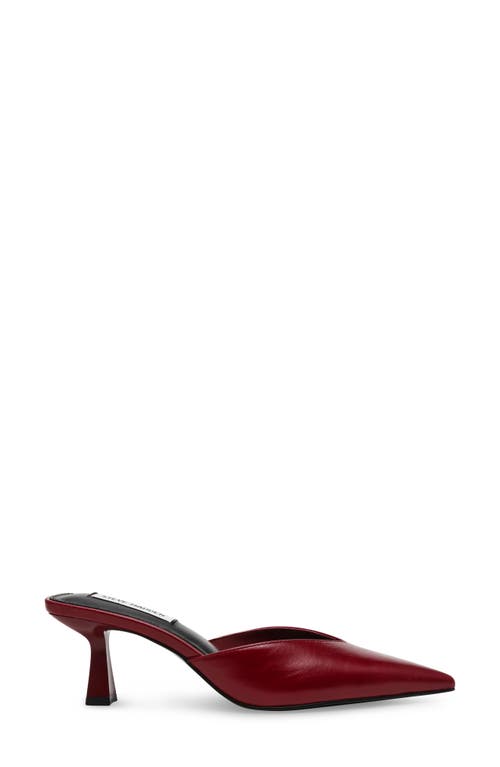 Shop Steve Madden Mod Pointed Toe Mule Pump In Dark Red