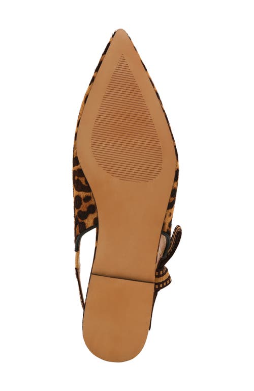 Shop Steve Madden Olsen Slingback Genuine Calf Hair Pointed Toe Flat In Leopard/tan