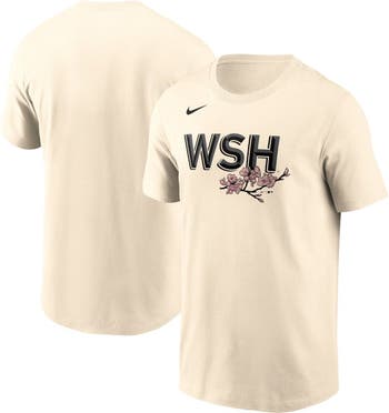 Washington Nationals Nike Authentic Collection Legend Team Issued  Performance T-Shirt - Gray