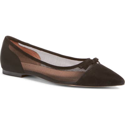 Halogen X Atlantic-Pacific Sadee Pointed Toe Flat- Black (Nordstrom Exclusive)