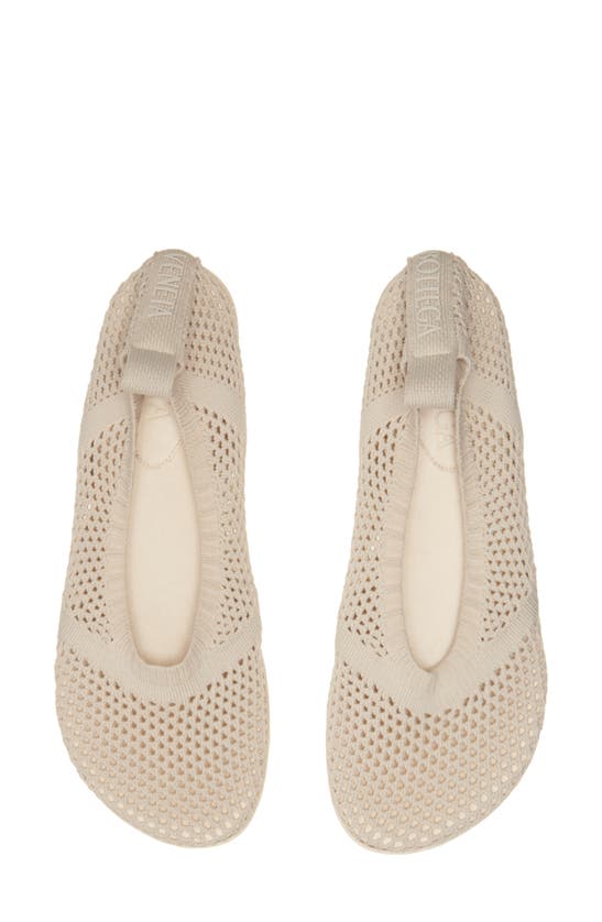 Bottega Veneta Atomic Mesh Ballerina Flat In Sea Salt
