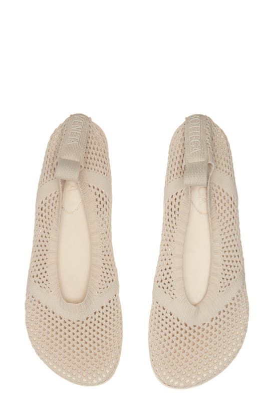 Shop Bottega Veneta Atomic Mesh Ballerina Flat In Sea Salt