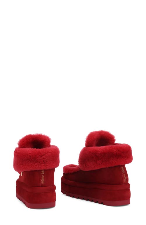 Shop Naked Wolfe Bambi Genuine Shearling Platform Bootie In Burgundy-suede/shearling