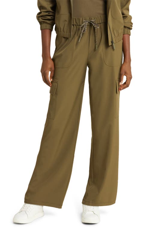 Interval Utility Cargo Pants in Olive Night