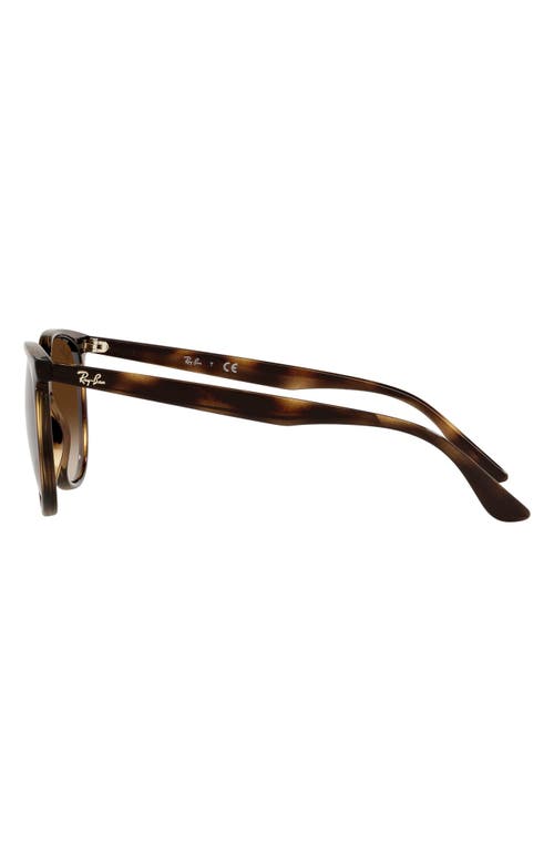 Ray Ban Ray-ban 54mm Gradient Square Sunglasses In Brown