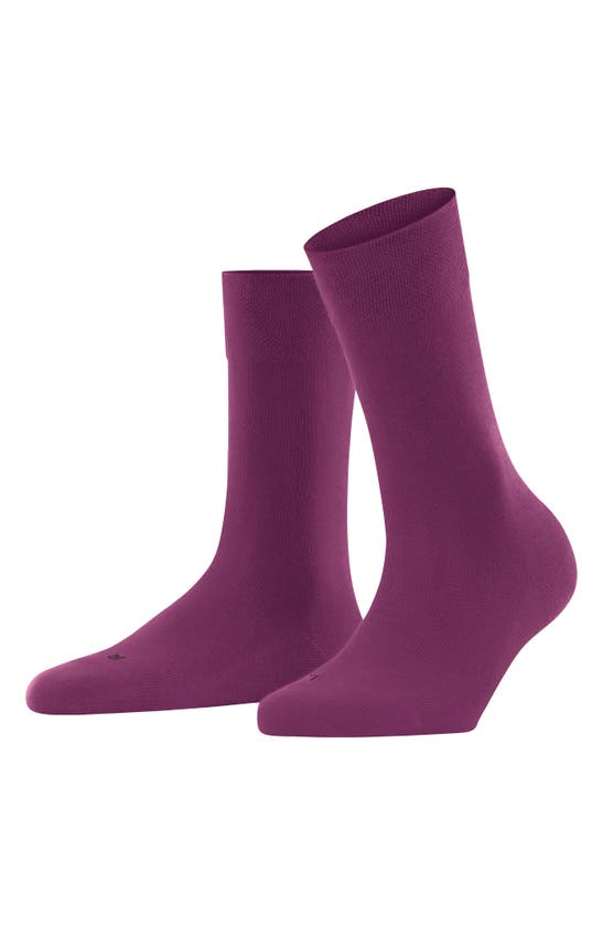 Shop Falke Sensitive London Cotton Blend Socks In Hibiscus